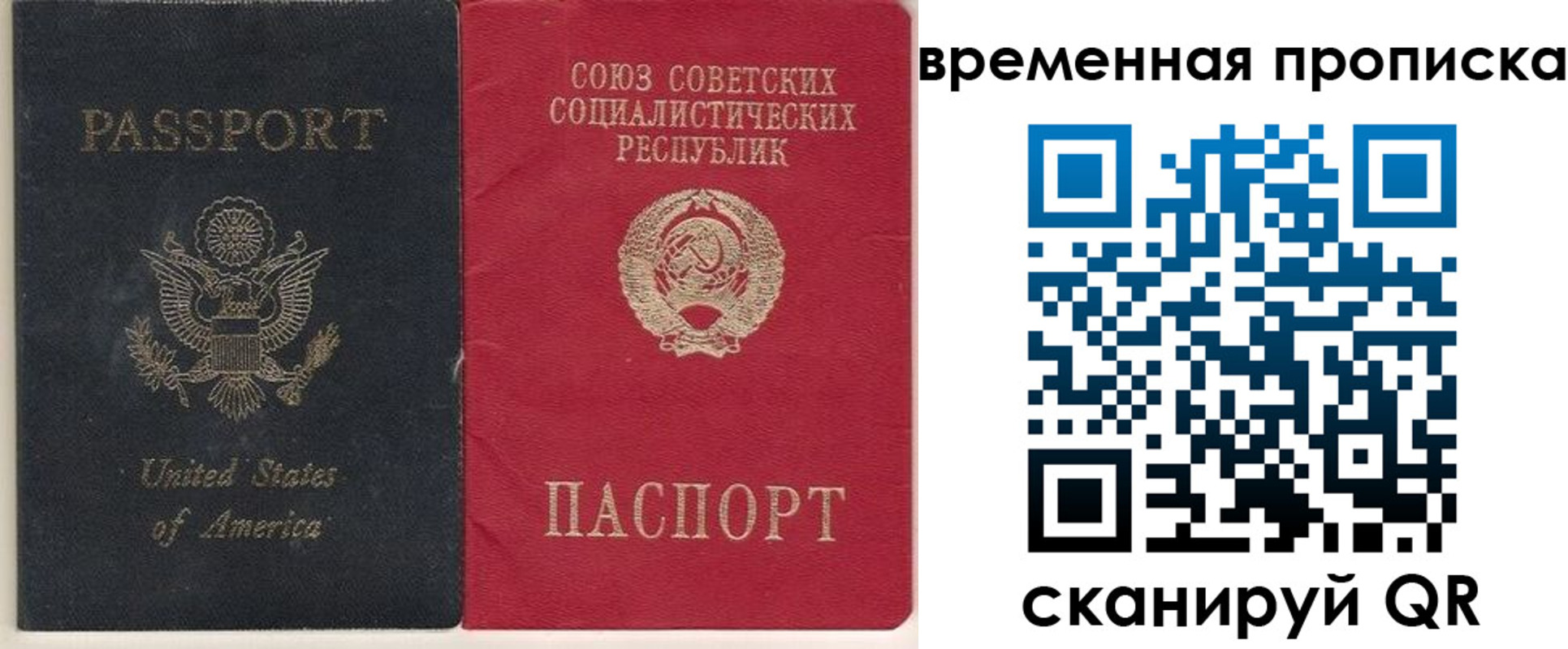 прописка для школы в Губкинском